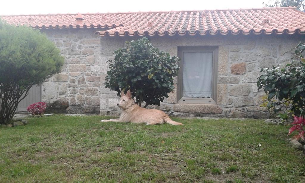 Casa Maria da Assunção Vila Nova de Cerveira Quarto foto